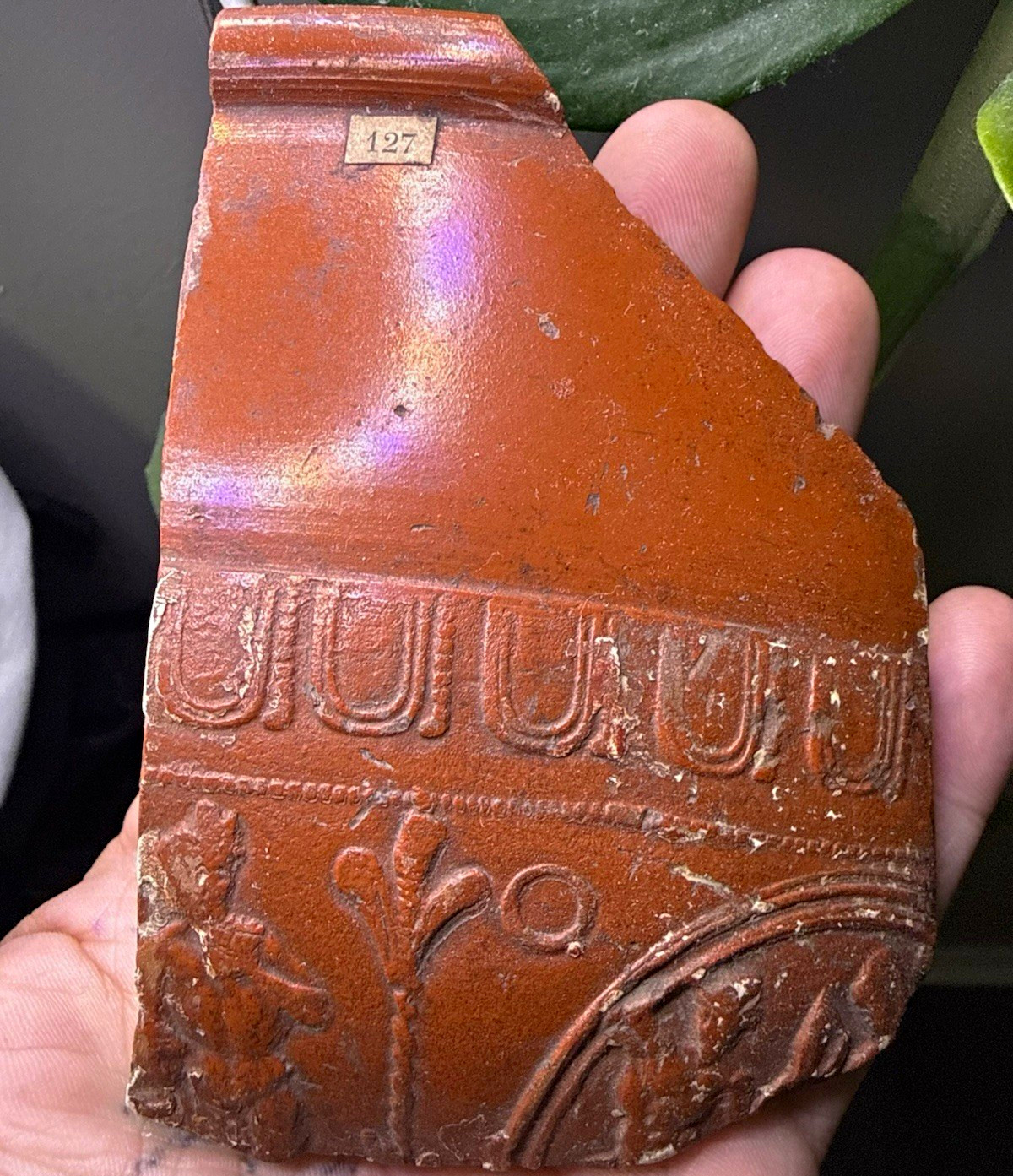 Roman Britain Large Samian-Ware Pottery Shard c. 1st Century BC Label “127” Roman Britain Large Samian-Ware Pottery Shard c. 1st Century BC Label “127”