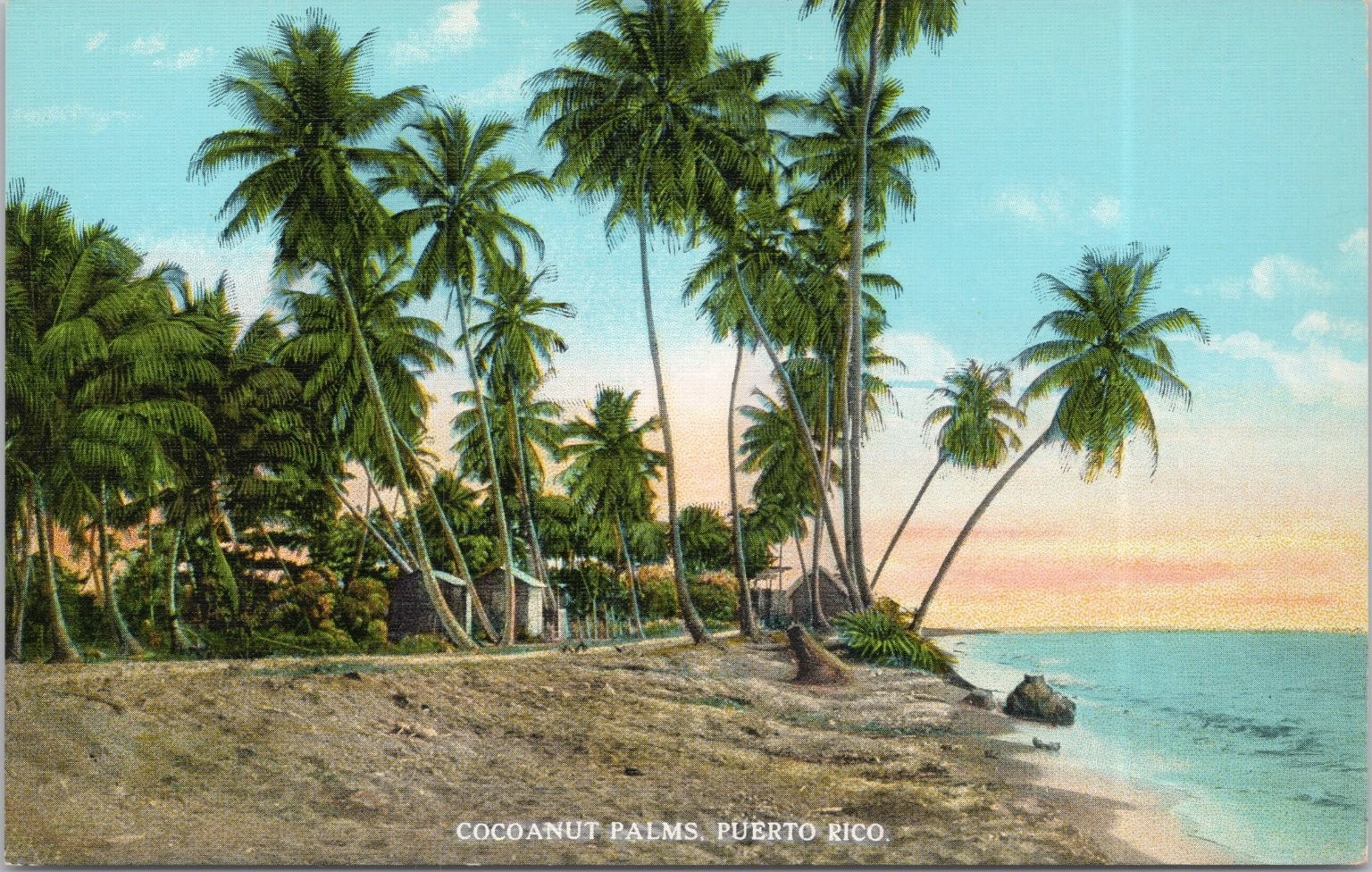 Puerto Rico Beach Cocoanut Palms Island C.T. American Art Postcard Puerto Rico Beach Cocoanut Palms Island C.T. American Art Postcard