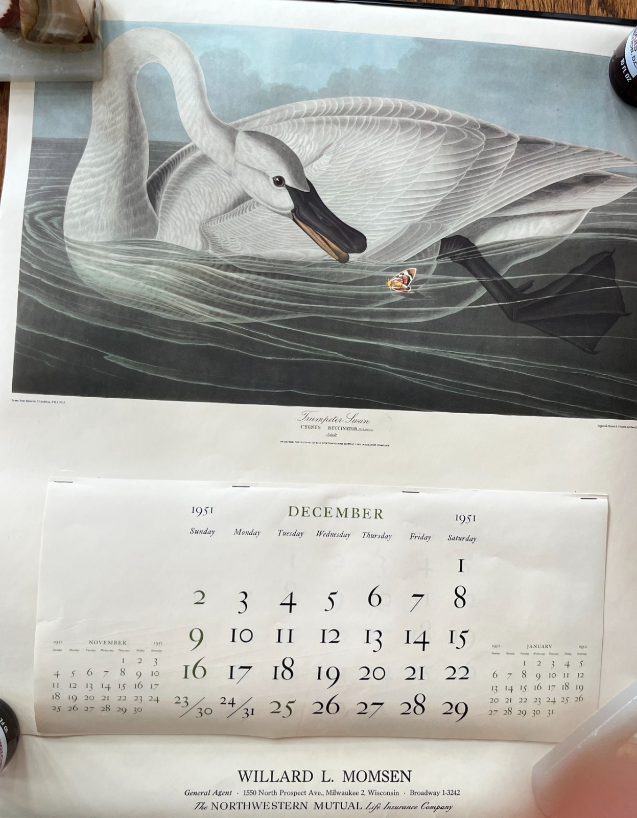 VINTAGE 1951-52 Audubon Northwestern Mutual Life Insurance Company Calendar