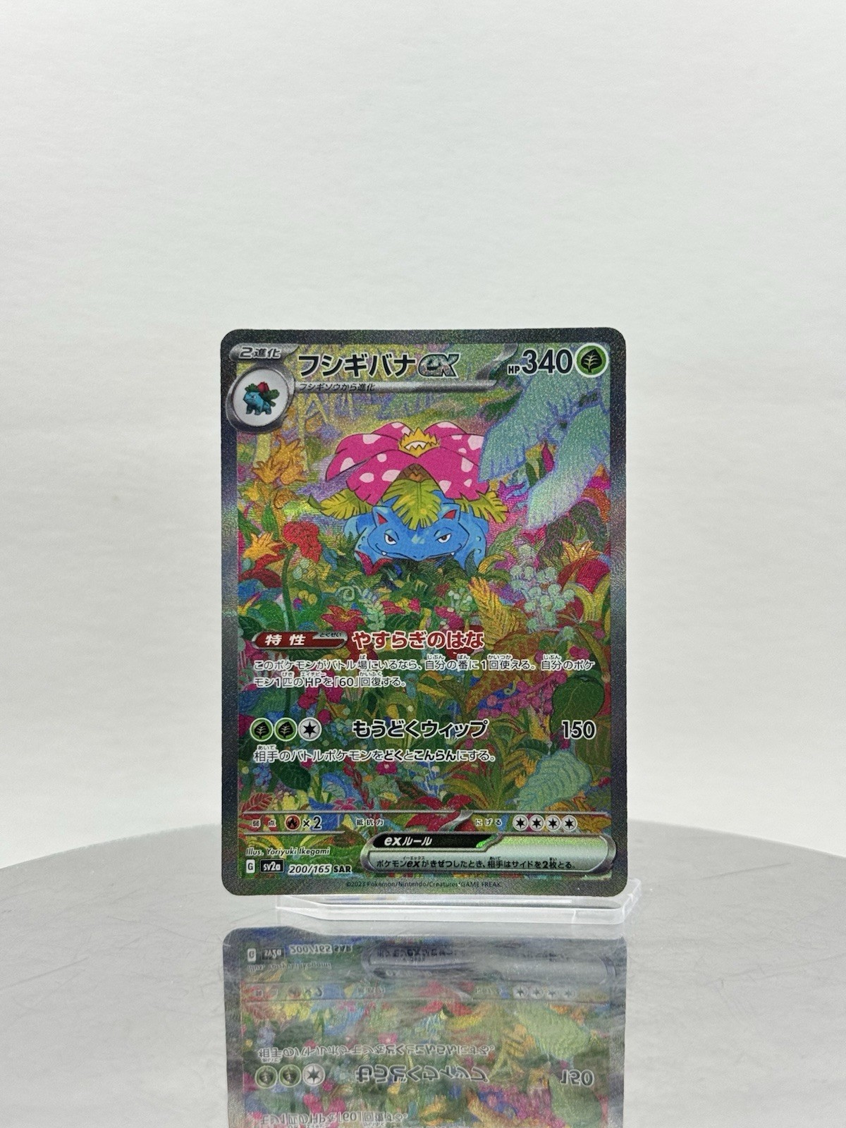 Pokémon TCG - Venusaur ex - 200/165 - SV2a: Pokemon Card 151 Pokémon TCG - Venusaur ex - 200/165 - SV2a: Pokemon Card 151