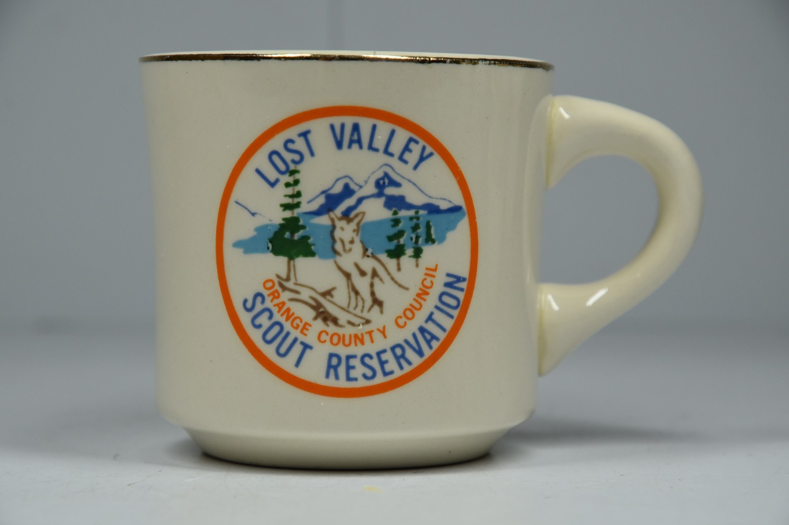 Vintage Boy Scouts Lost Valley Reservation Orange County Council Coffee Mug BSA Vintage Boy Scouts Lost Valley Reservation Orange County Council Coffee Mug BSA