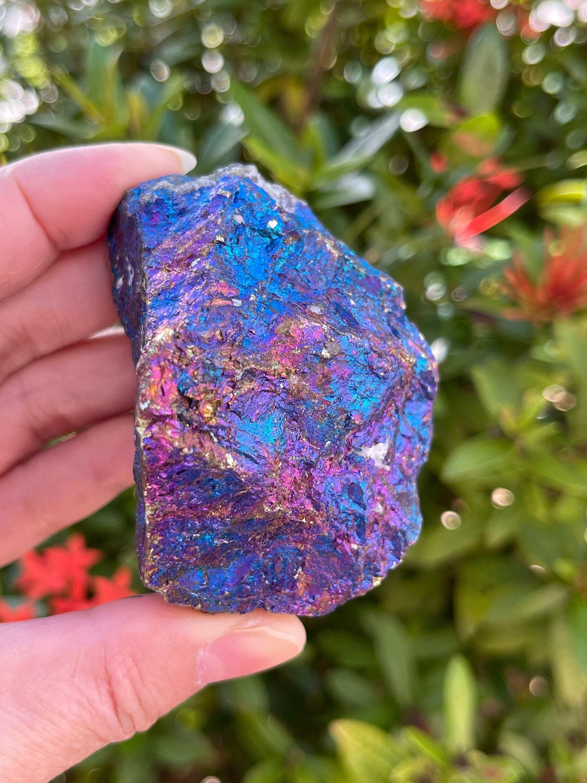 Grade A++ Large Chalcopyrite Natural Stone, 2-3" Raw Peacock Ore Stone, 2 Sizes