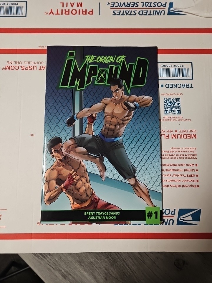 The Origin Of Impound #1 Hot Indie Impound Comics VF- OR BETTER HTF 1st PRINT The Origin Of Impound #1 Hot Indie Impound Comics VF- OR BETTER HTF 1st PRINT