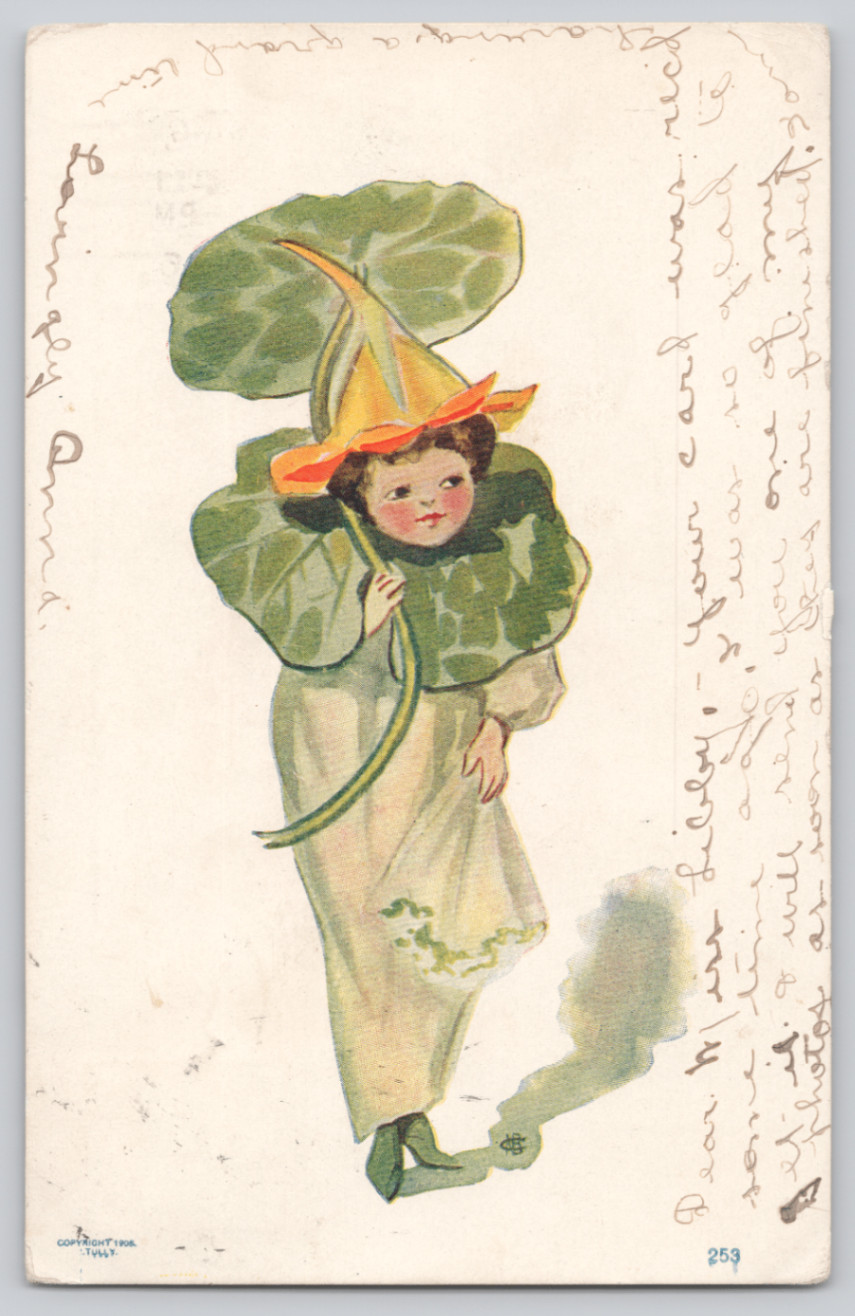 1908 F.A.L. Flower Child Fairy Postcard Girl in Nasturtium Leaf & Petal Costume 1908 F.A.L. Flower Child Fairy Postcard Girl in Nasturtium Leaf & Petal Costume