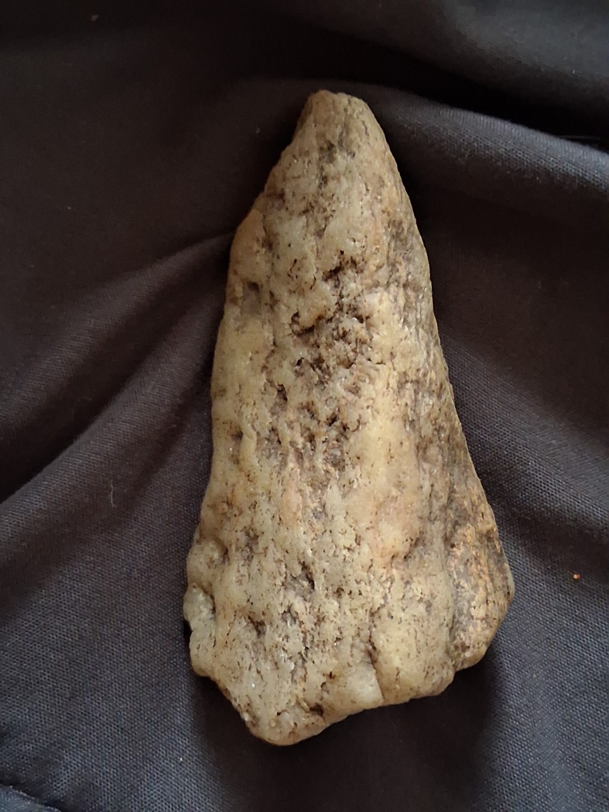 Rare Carcharodontosaurus Dinosaur Tooth T Rex Cousin Fossil 3” Rare Carcharodontosaurus Dinosaur Tooth T Rex Cousin Fossil 3”