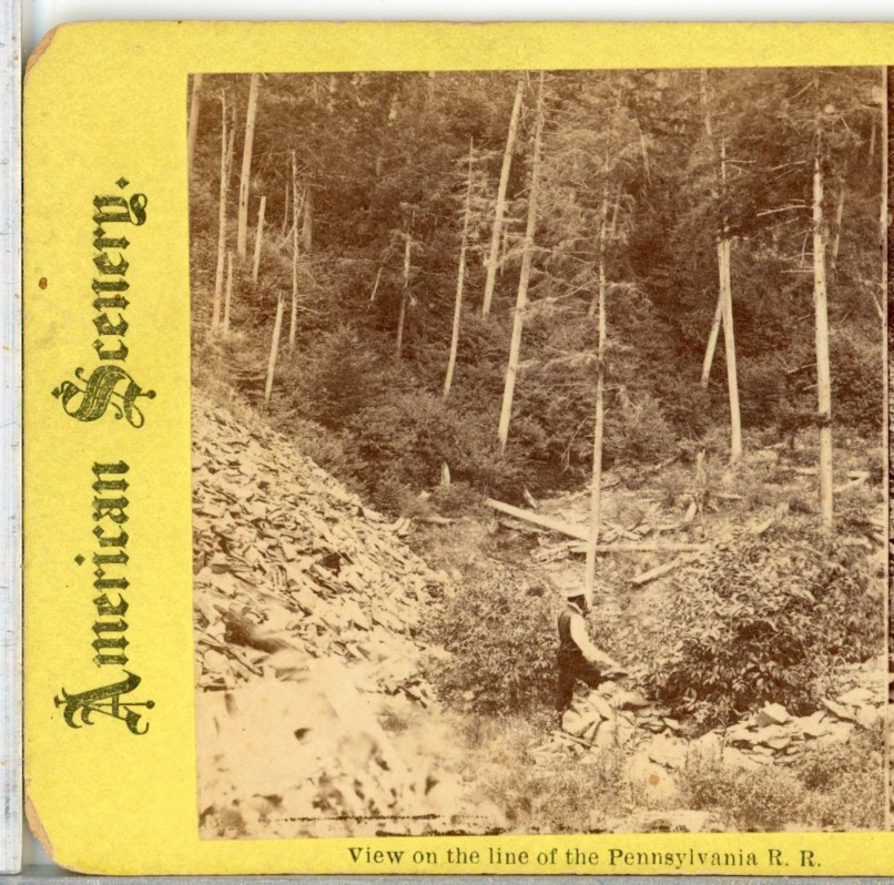 PENNSYLVANIA, View On The Line Of The Pennsylvania Railroad--Stereoview A15 PENNSYLVANIA, View On The Line Of The Pennsylvania Railroad--Stereoview A15