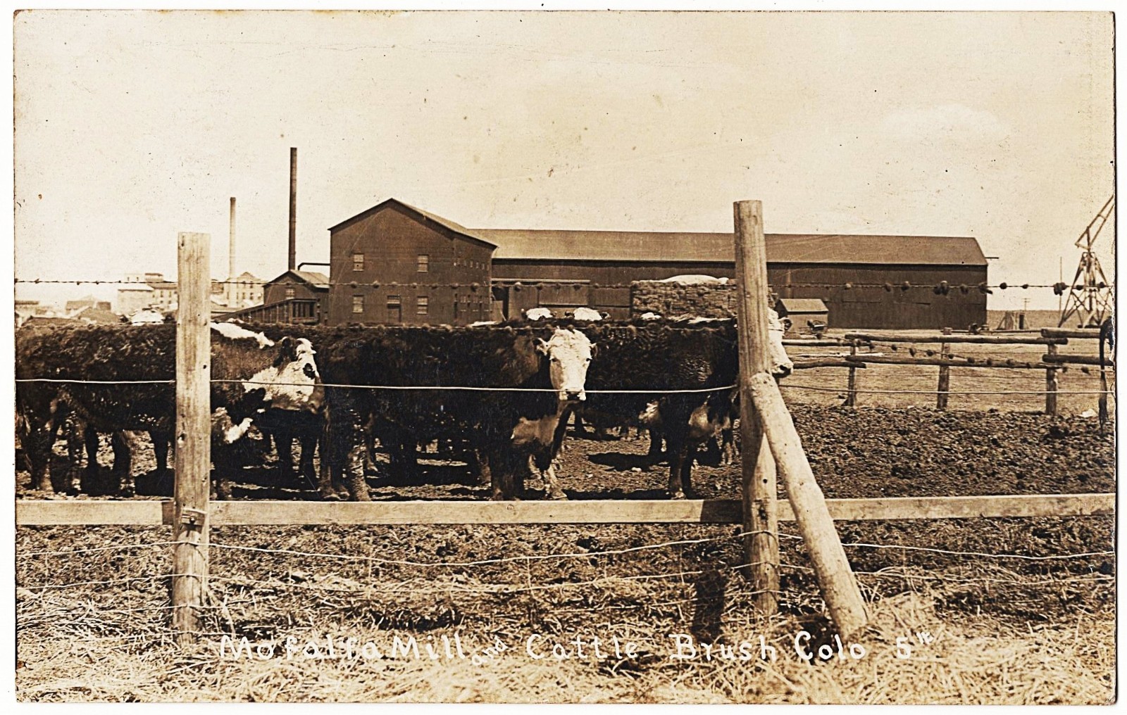 real photo Brush CO - Mofalfa mill And Cattle mailed 1909 antique postcard RPPC real photo Brush CO - Mofalfa mill And Cattle mailed 1909 antique postcard RPPC