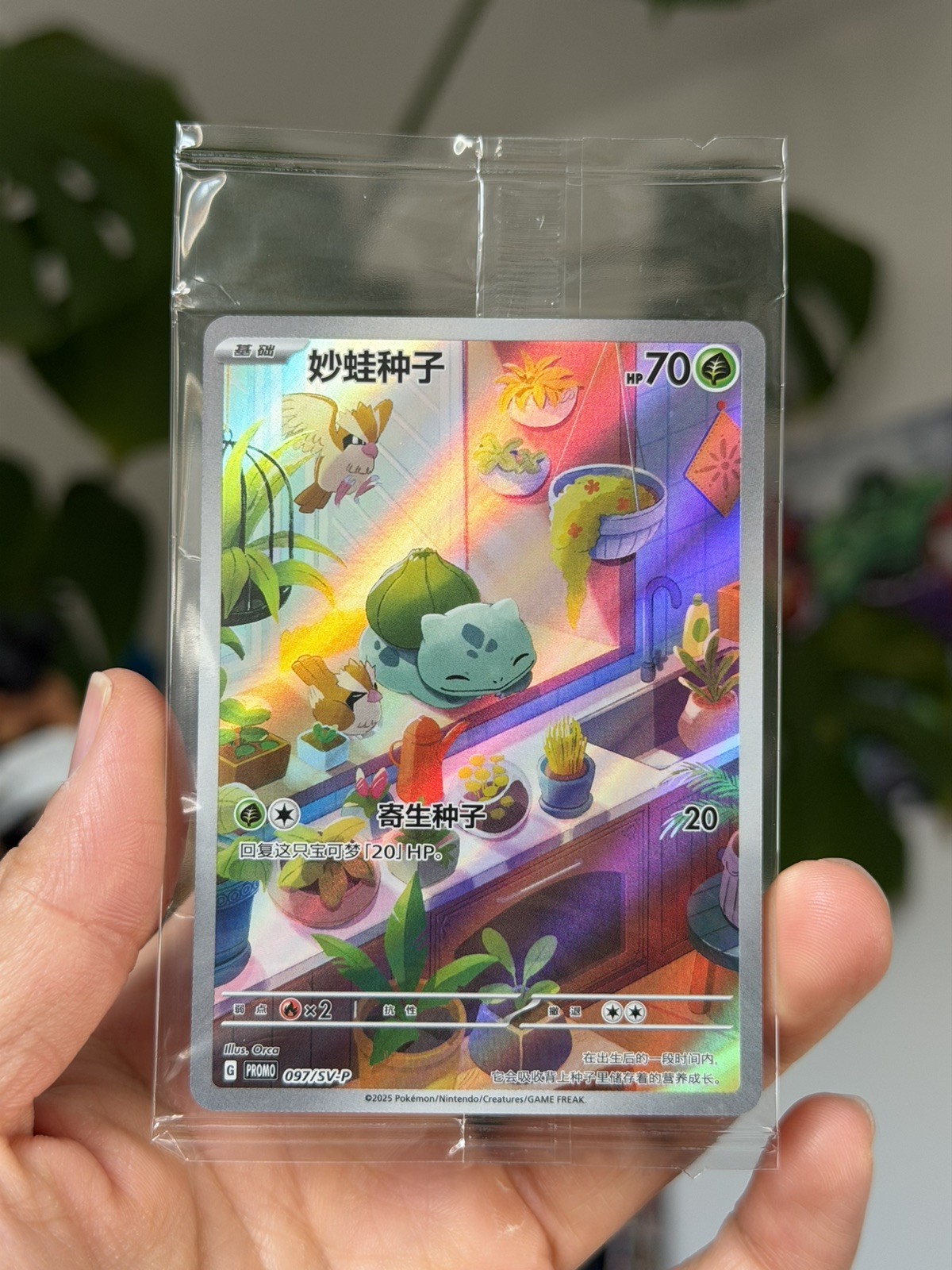 Bulbasaur Art Rare Sealed Promo S-Chinese Scarlet Violet 097/SV-P Pokemon TCG Bulbasaur Art Rare Sealed Promo S-Chinese Scarlet Violet 097/SV-P Pokemon TCG