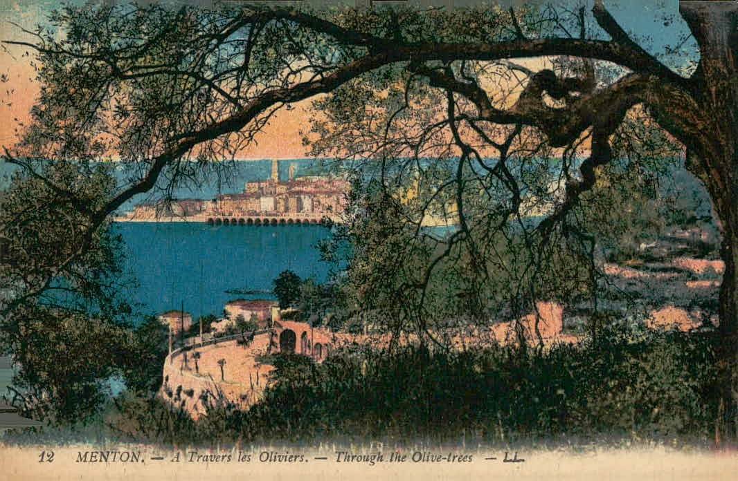 Menton France Through the Olive Trees LL Vintage Postcard Menton France Through the Olive Trees LL Vintage Postcard