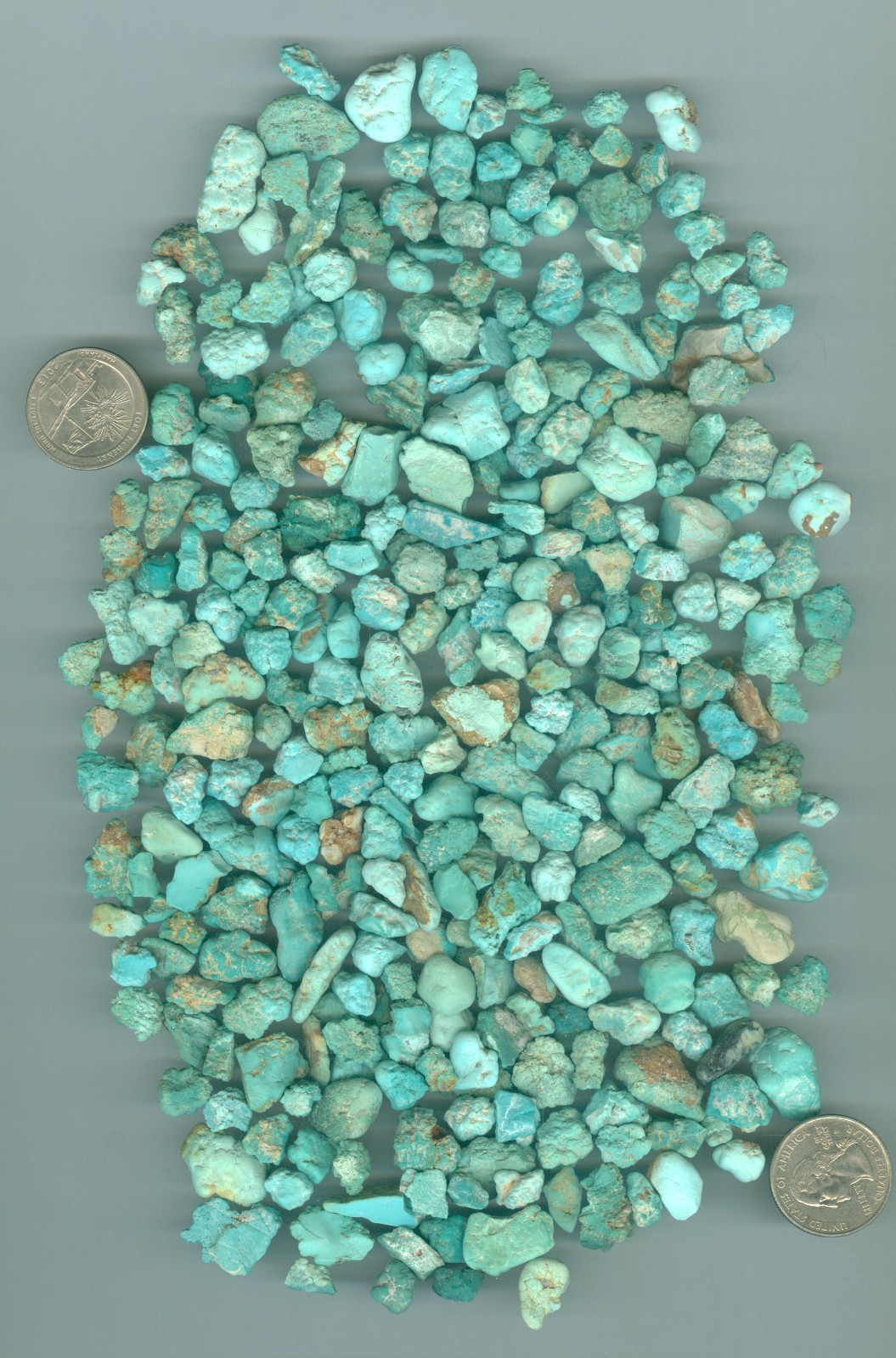 340 Grams of Natural American Fox Mine Turquoise Rough Nevada Turquoise 12 oz 340 Grams of Natural American Fox Mine Turquoise Rough Nevada Turquoise 12 oz