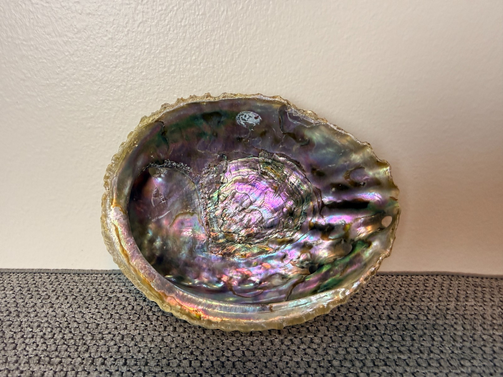 Vintage Abalone Shell 5.5”x4.5” Display Bowl/Dish Decorative Coastal Decor Vintage Abalone Shell 5.5”x4.5” Display Bowl/Dish Decorative Coastal Decor