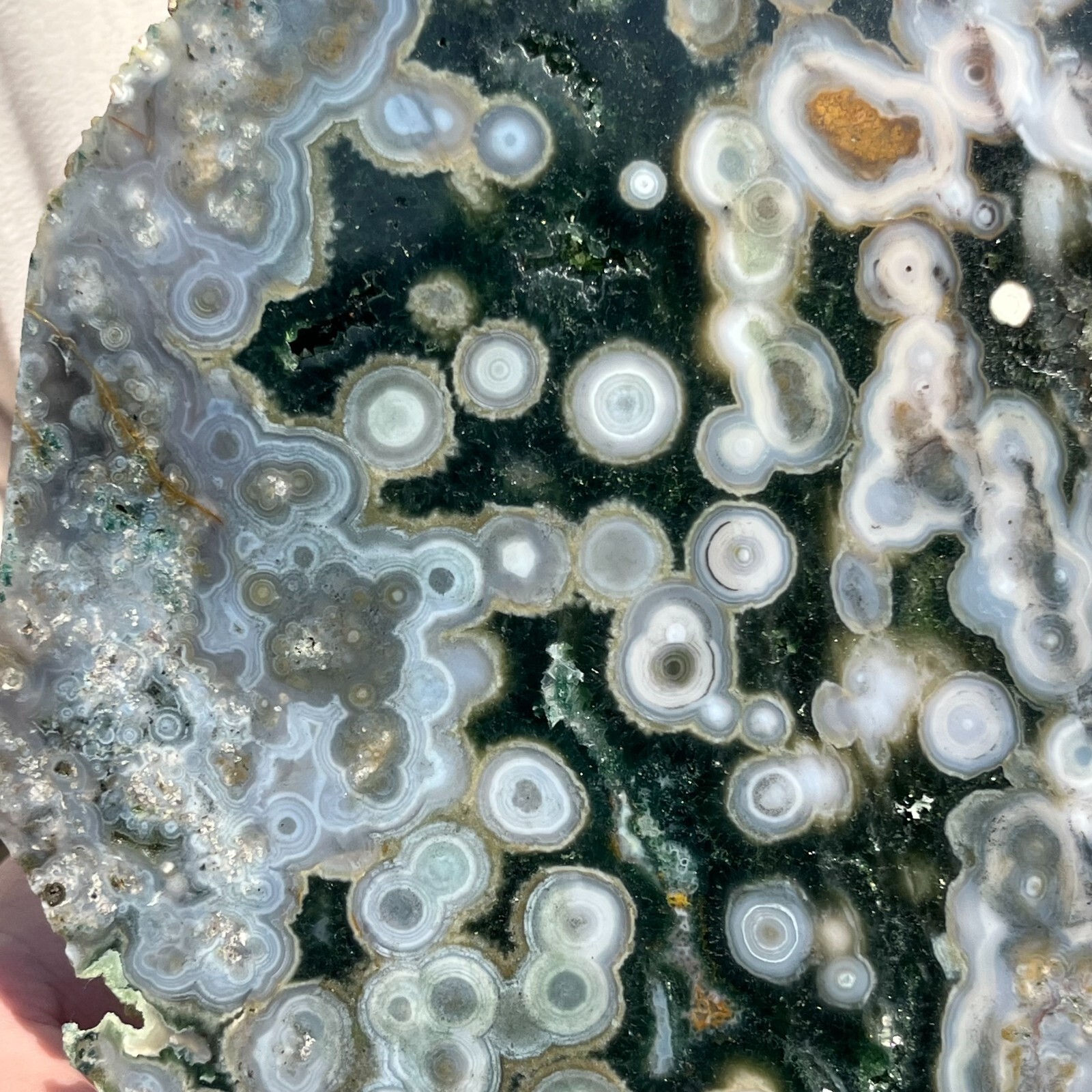 3.31LB Rare Natural The 8th Vein Ocean Jasper Slab Quartz Crystal Reiki Healing 3.31LB Rare Natural The 8th Vein Ocean Jasper Slab Quartz Crystal Reiki Healing