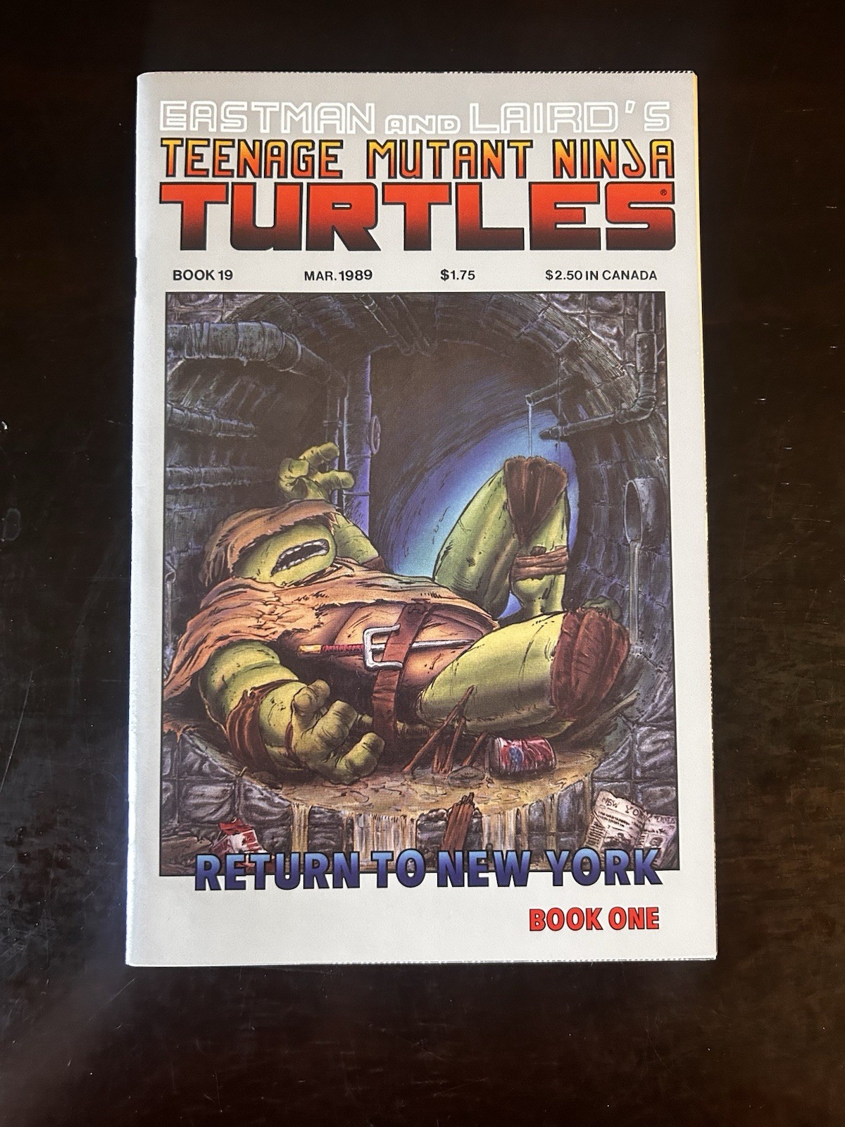 Teenage Mutant Ninja Turtles #19 Mirage 1989 Return to New York Eastman cover Teenage Mutant Ninja Turtles #19 Mirage 1989 Return to New York Eastman cover