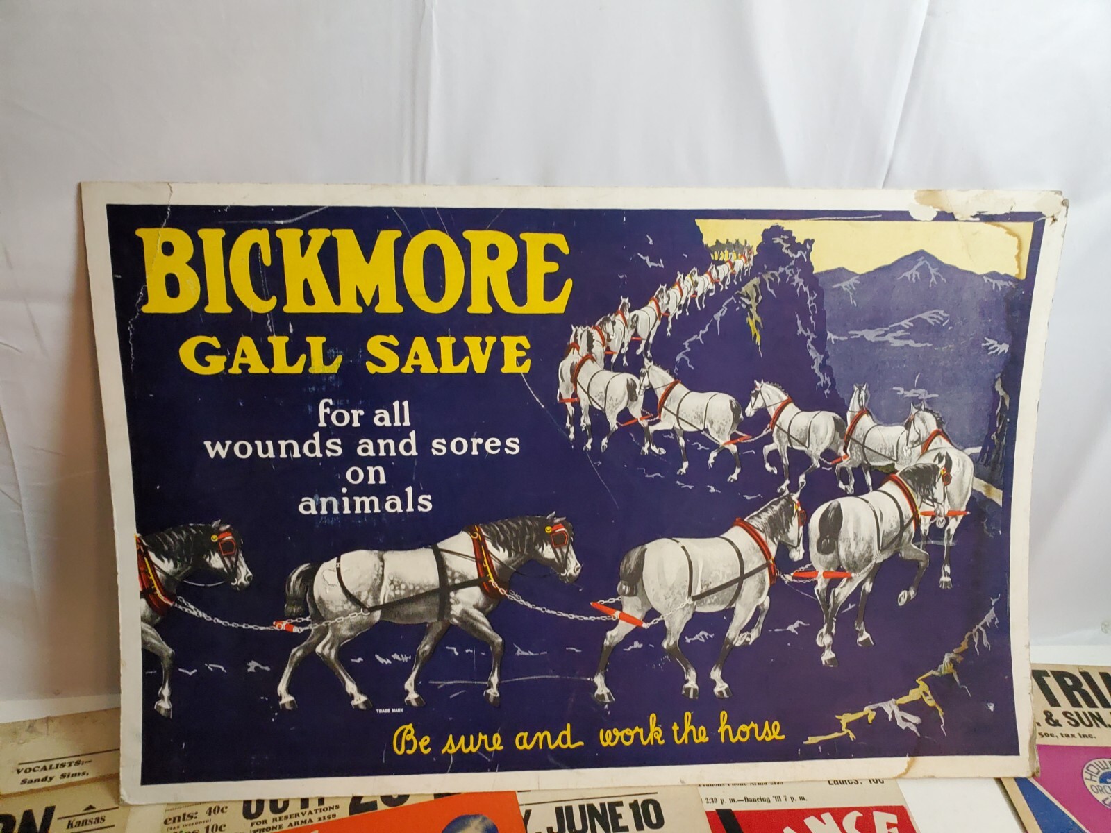 Bickmore Gall Salve Advertisment cardboard vtg sign rare 36"  home decor