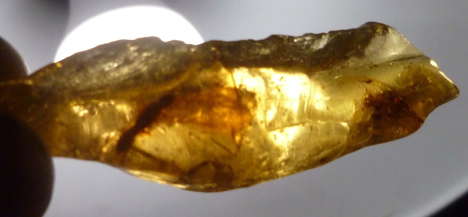Beautiful Winged Ant Menagerie in Dominican Amber Fossil Large 13.2 grams Beautiful Winged Ant Menagerie in Dominican Amber Fossil Large 13.2 grams