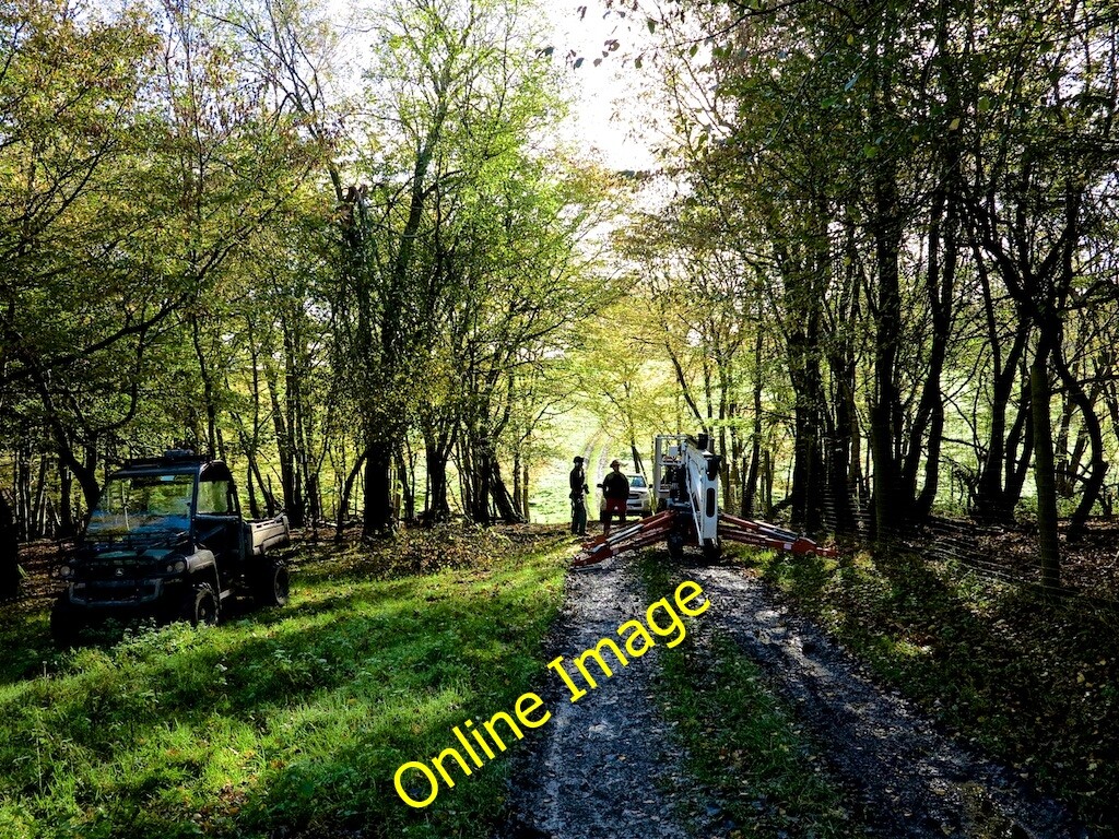 Photo 6x4 Underland Wood Wadhurst Park Estate Combe\/TQ6228 c2013 Photo 6x4 Underland Wood Wadhurst Park Estate Combe\/TQ6228 c2013