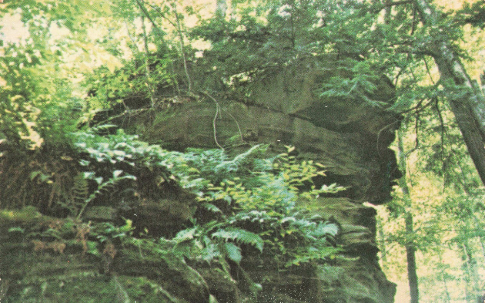 Chautauqua New York Rock Formation Vintage Standard Chrome Postcard Unposted Chautauqua New York Rock Formation Vintage Standard Chrome Postcard Unposted