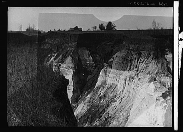 Stewart County Georgia Erosion Gully 1930s Farm Security Administration Stewart County Georgia Erosion Gully 1930s Farm Security Administration