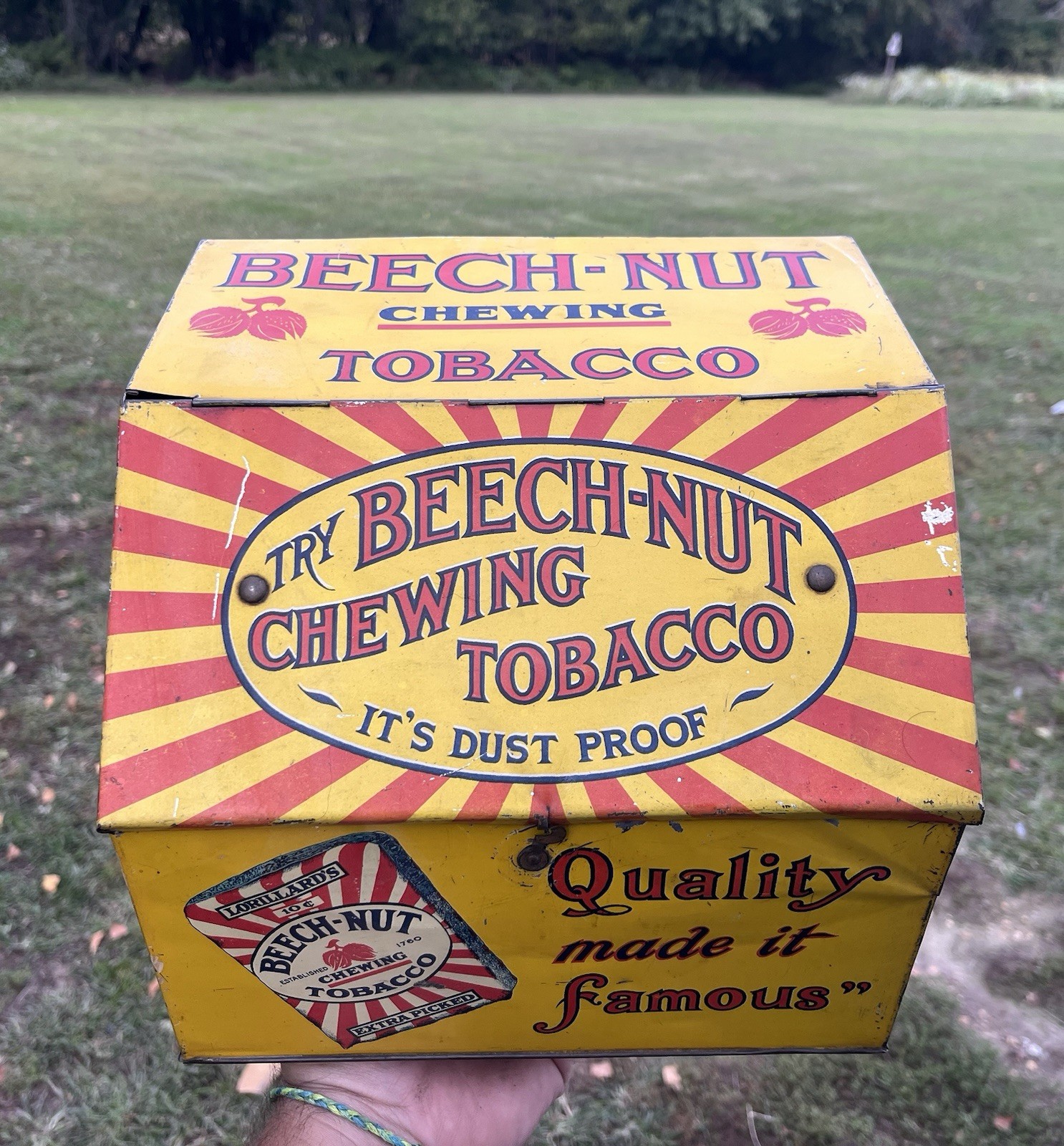 Antique Beech Nut Chewing Tobacco Countertop Display Advertising Tin