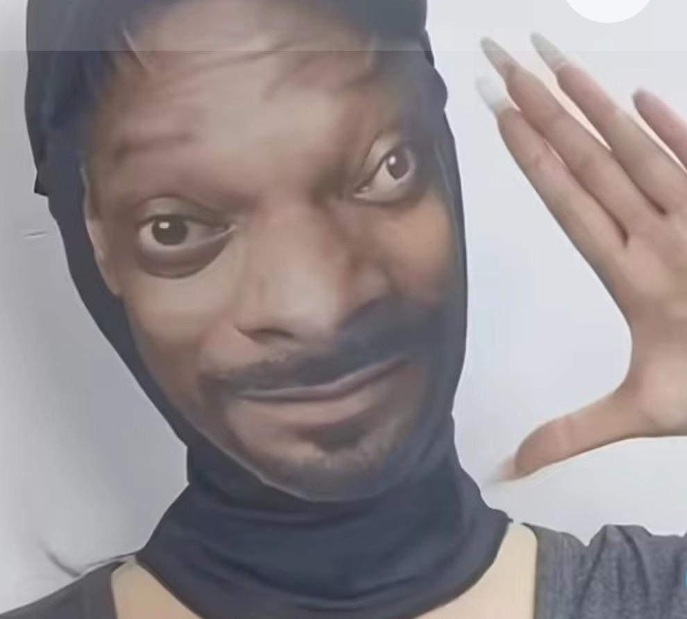 New Snoop Dog Doggy Dogg costume Mesh Seethru Mask Full Face Halloween Cosplay