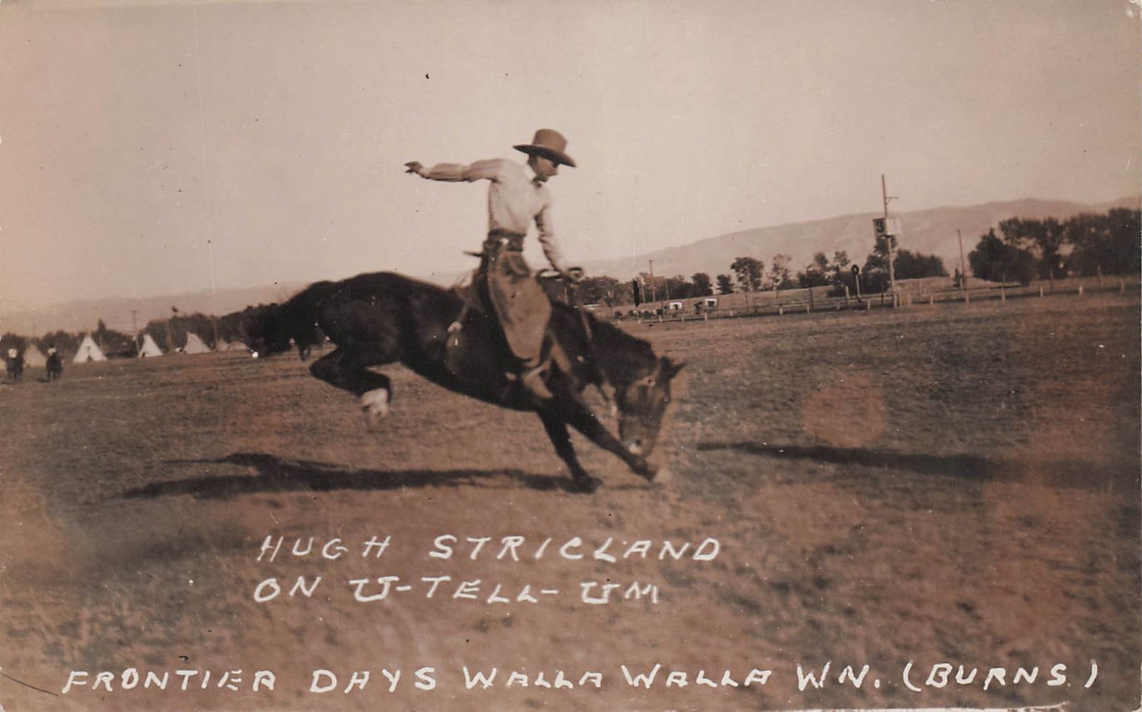 RPPC Walla Walla Frontier Days Rodeo Cowboy Corbett Horse Photo Postcard 32A RPPC Walla Walla Frontier Days Rodeo Cowboy Corbett Horse Photo Postcard 32A
