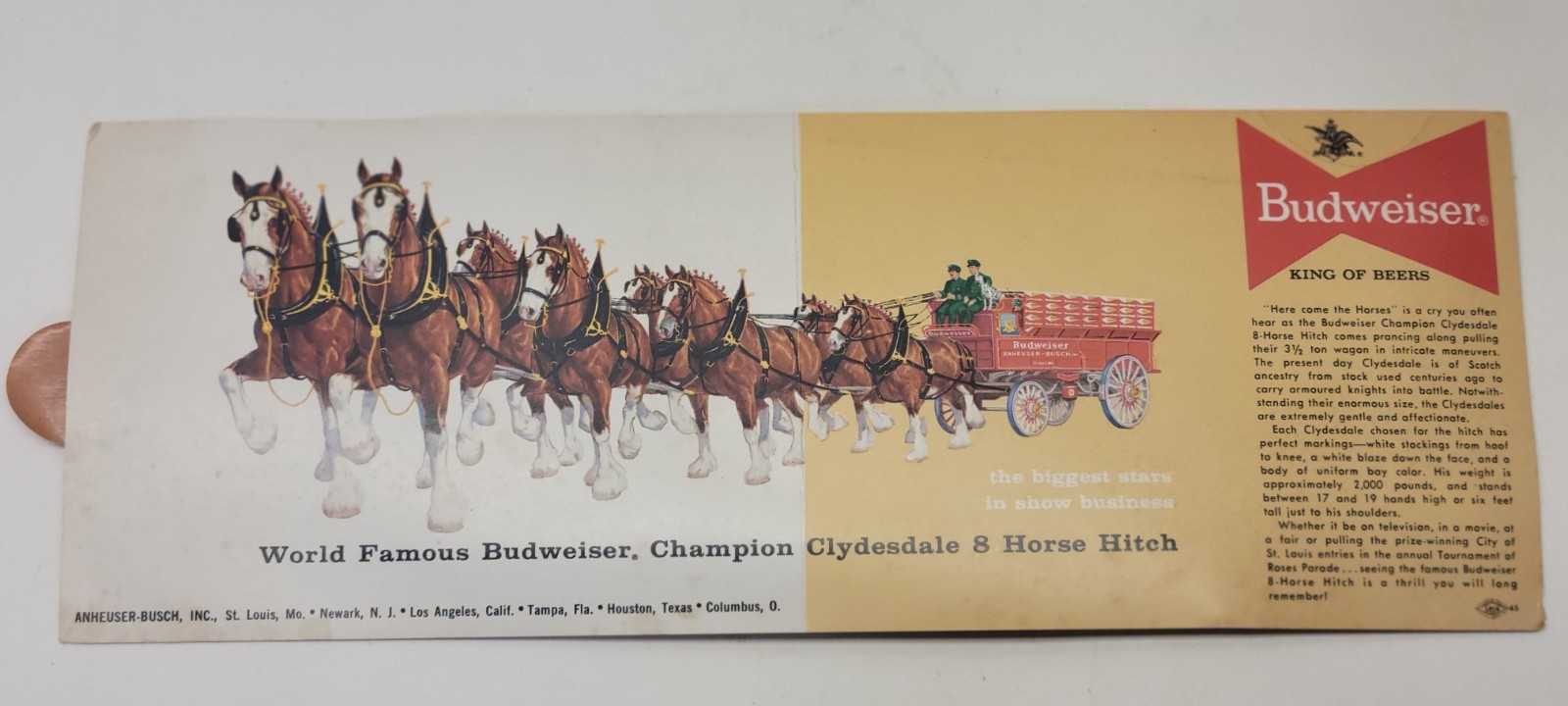 1954 Budweiser Advertising Mailer w/ Clydesdales Cleveland Ohio - Unused 1954 Budweiser Advertising Mailer w/ Clydesdales Cleveland Ohio - Unused