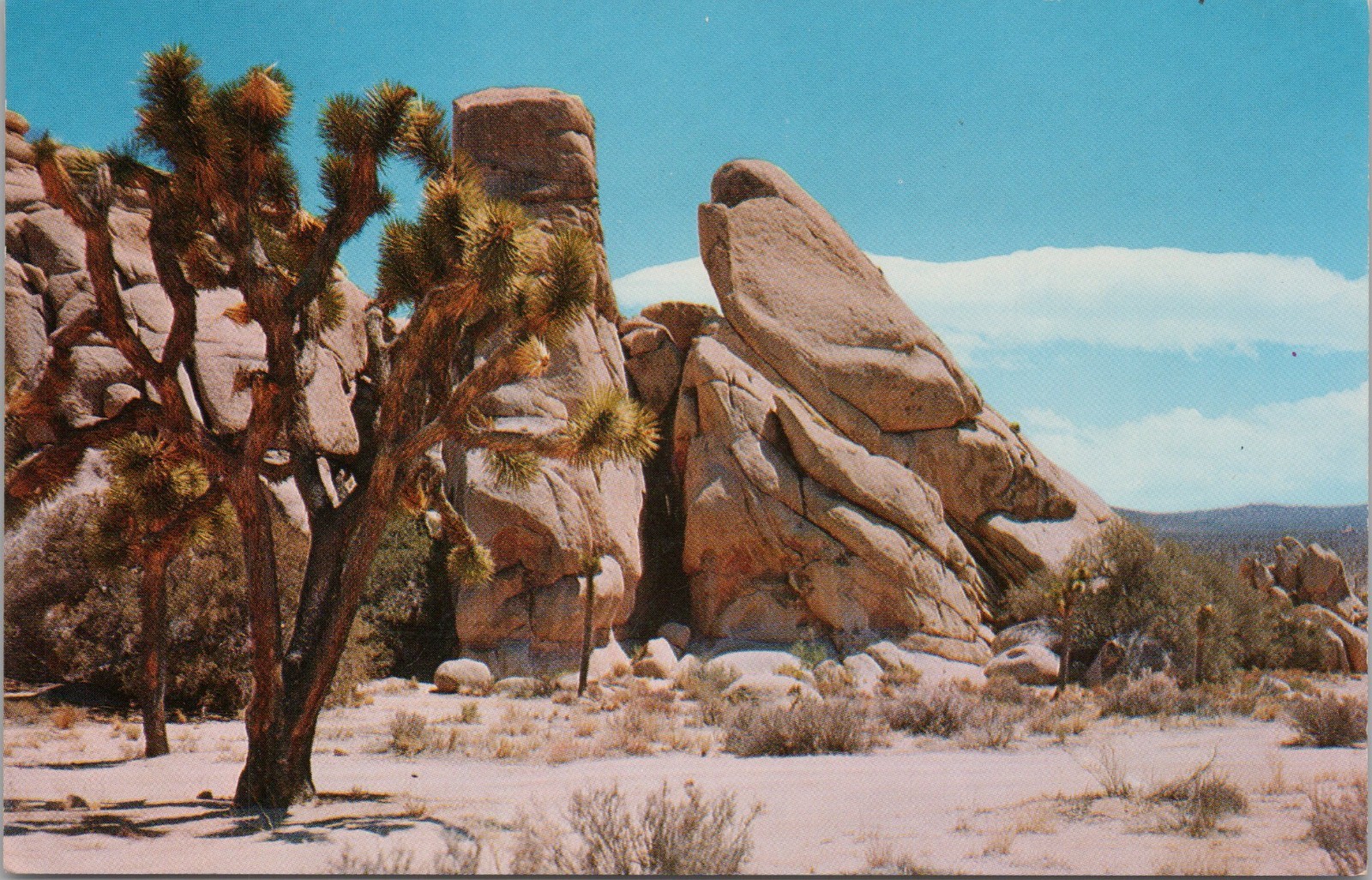 Joshua Tree Natl Monument CA Desert Tree & Rocks Vintage Postcard #3296 Joshua Tree Natl Monument CA Desert Tree & Rocks Vintage Postcard #3296