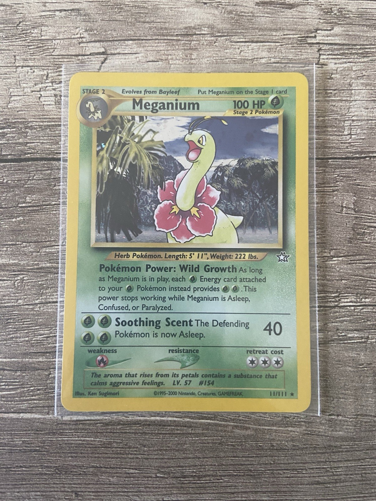 Pokemon Card - Meganium / Meganie - 11/111 - Holo, Rare - English Pokemon Card - Meganium / Meganie - 11/111 - Holo, Rare - English