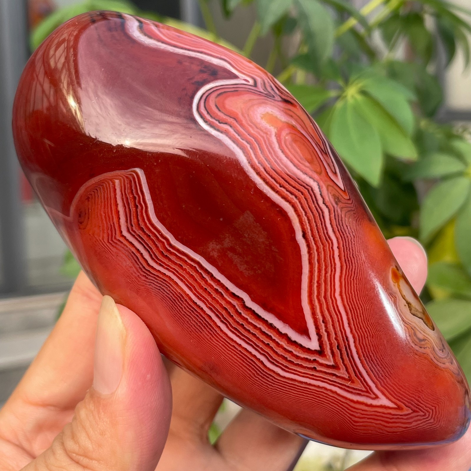 455g Natural Banded Agate Carnelian Polished Palm Stone Crystal Specimem Healing 455g Natural Banded Agate Carnelian Polished Palm Stone Crystal Specimem Healing