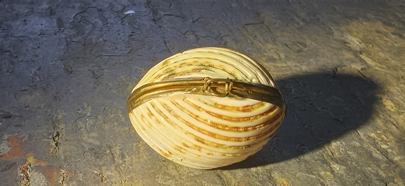Antique Victorian Natural Shell Coin Purse Brass Hinged Trinket Box c1890 Antique Victorian Natural Shell Coin Purse Brass Hinged Trinket Box c1890