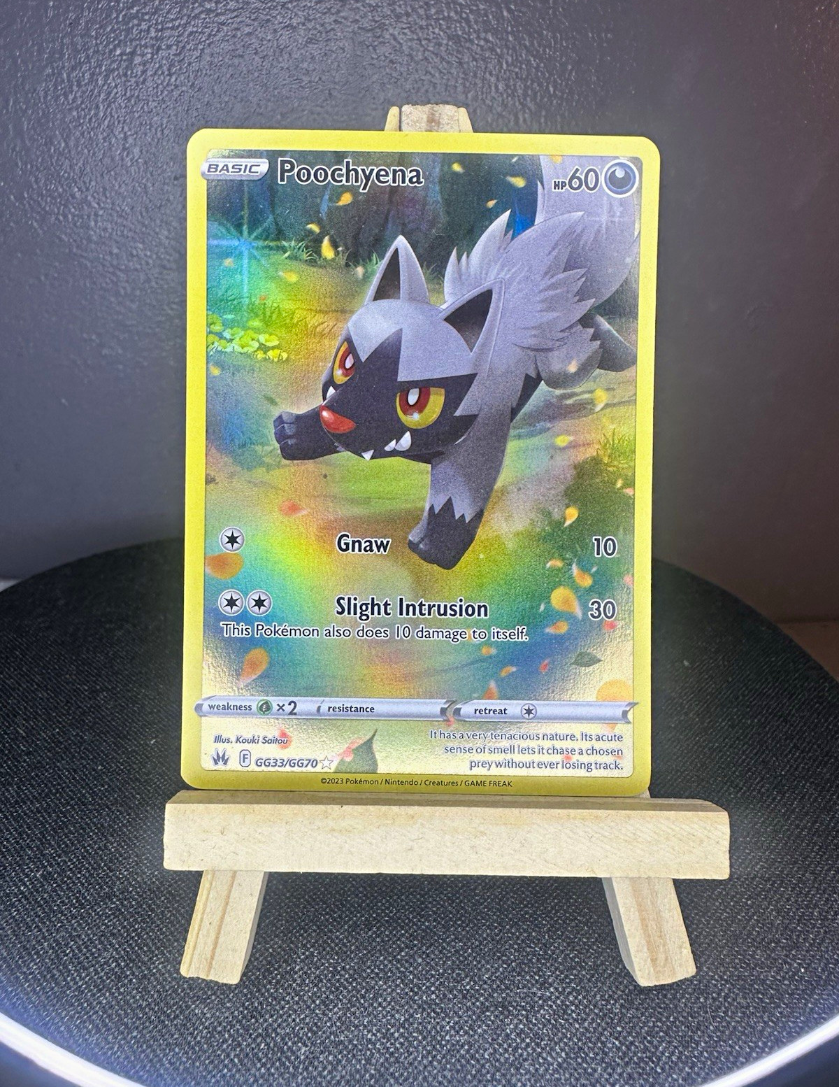 The Pokémon Company Poochyena GG33/GG70 Ultra Rare Full Art Holo English