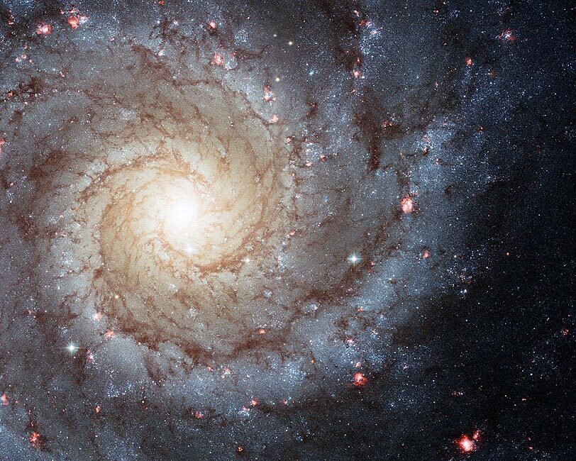 GRAND DESIGN SPIRAL GALAXY HUBBLE TELESCOPE 11x14 GLOSSY PHOTO PRINT GRAND DESIGN SPIRAL GALAXY HUBBLE TELESCOPE 11x14 GLOSSY PHOTO PRINT