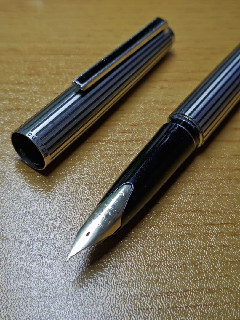 Pilot Custom Stripe Fountain Pen 18K-WG F Silver Black Writing Tool Used