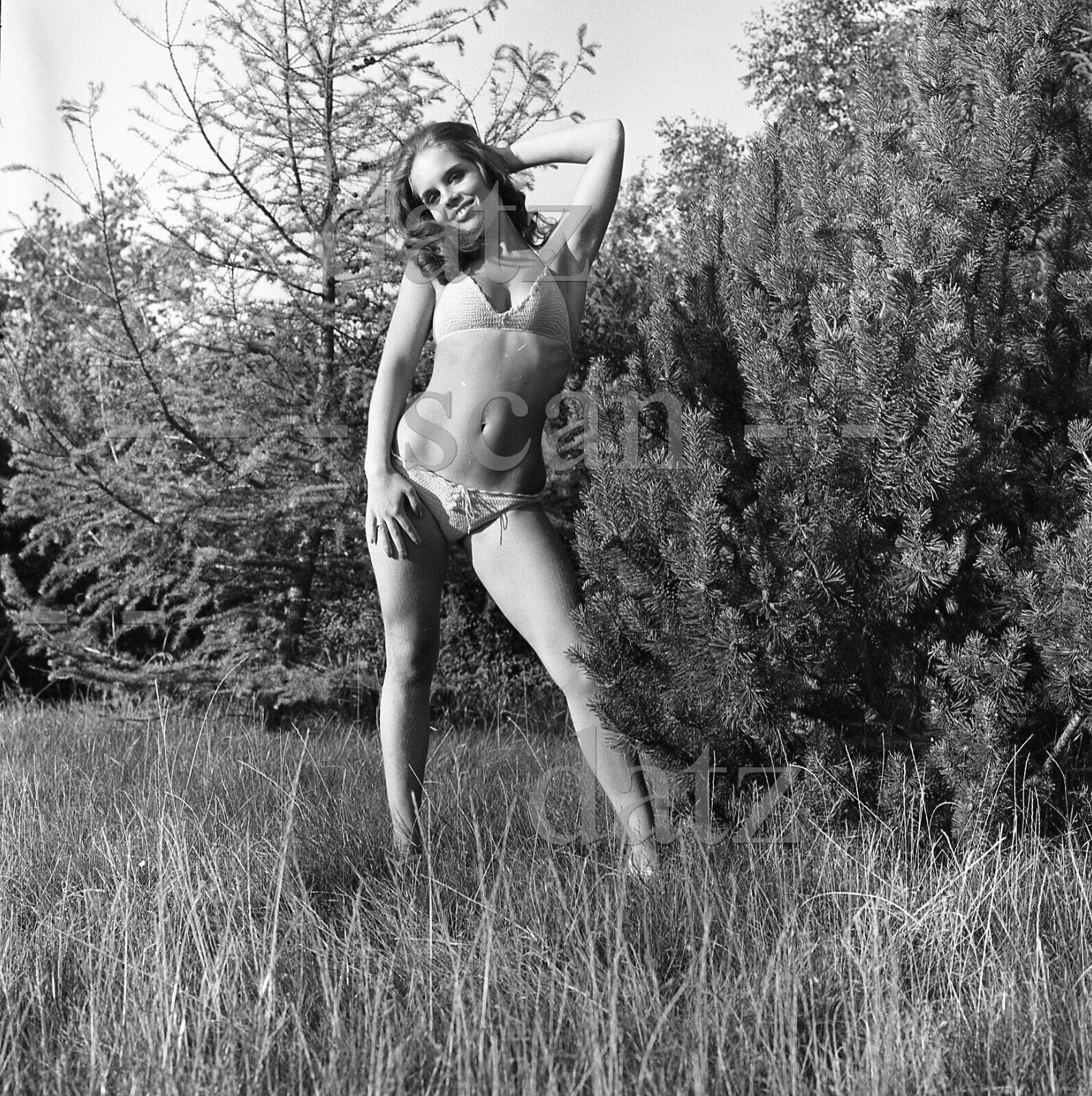 1960s Negative-sexy pinup girl in bikini outdoors-cheesecake t459691