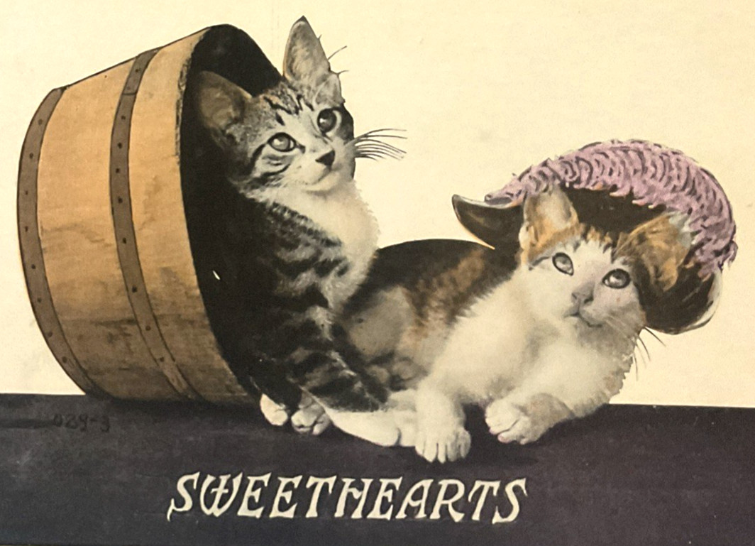 Antique Kittens Kitty Cats Playing Sweethearts  029-3  c. 1915 Postcard