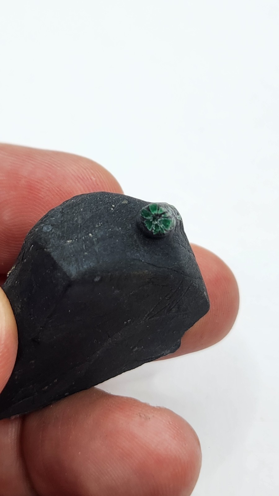 28g Rare Natural Colombian Trapiche Emerald Crystal in Black Shale Matrix 40mm 28g Rare Natural Colombian Trapiche Emerald Crystal in Black Shale Matrix 40mm