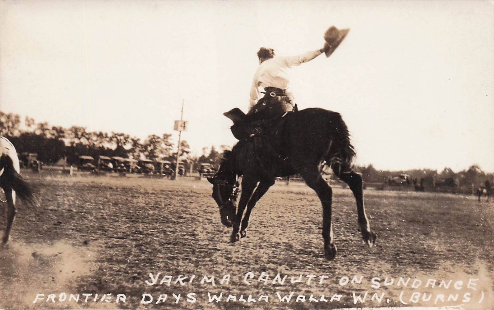 RPPC Walla Walla Frontier Days Rodeo Cowboy Horse Bucking Photo Postcard 33A
