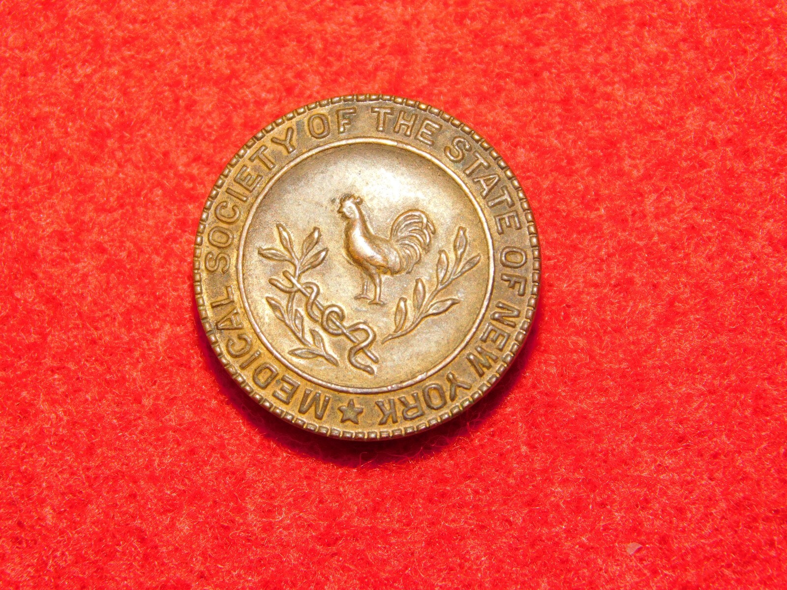 VINTAGE MEDICAL SOCIETY OF THE STATE OF NEW YORK PIN VINTAGE MEDICAL SOCIETY OF THE STATE OF NEW YORK PIN