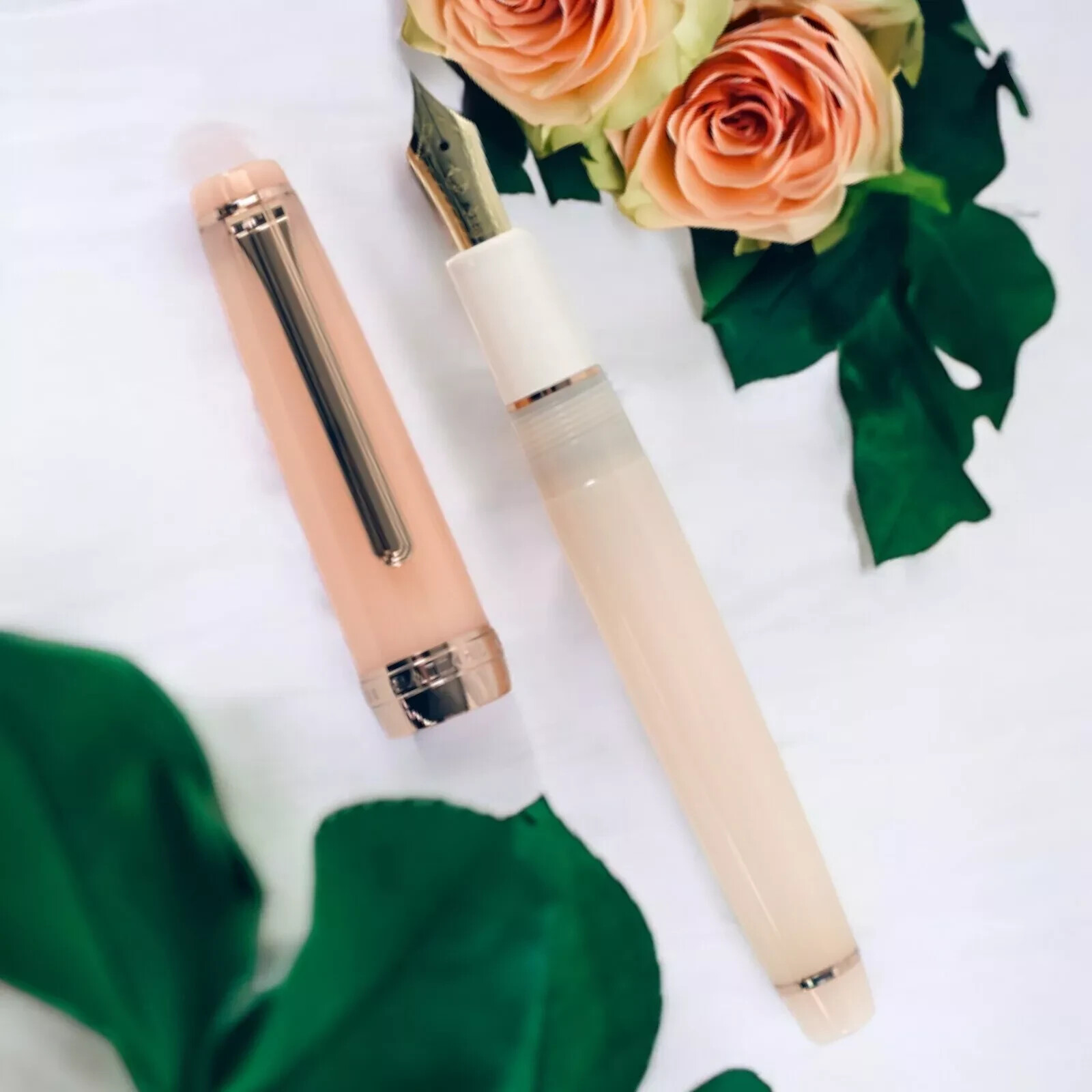 Sailor × Usagiya Professional Gear Slim 14K Fountain Pen Princess Rose Pink F Sailor × Usagiya Professional Gear Slim 14K Fountain Pen Princess Rose Pink F