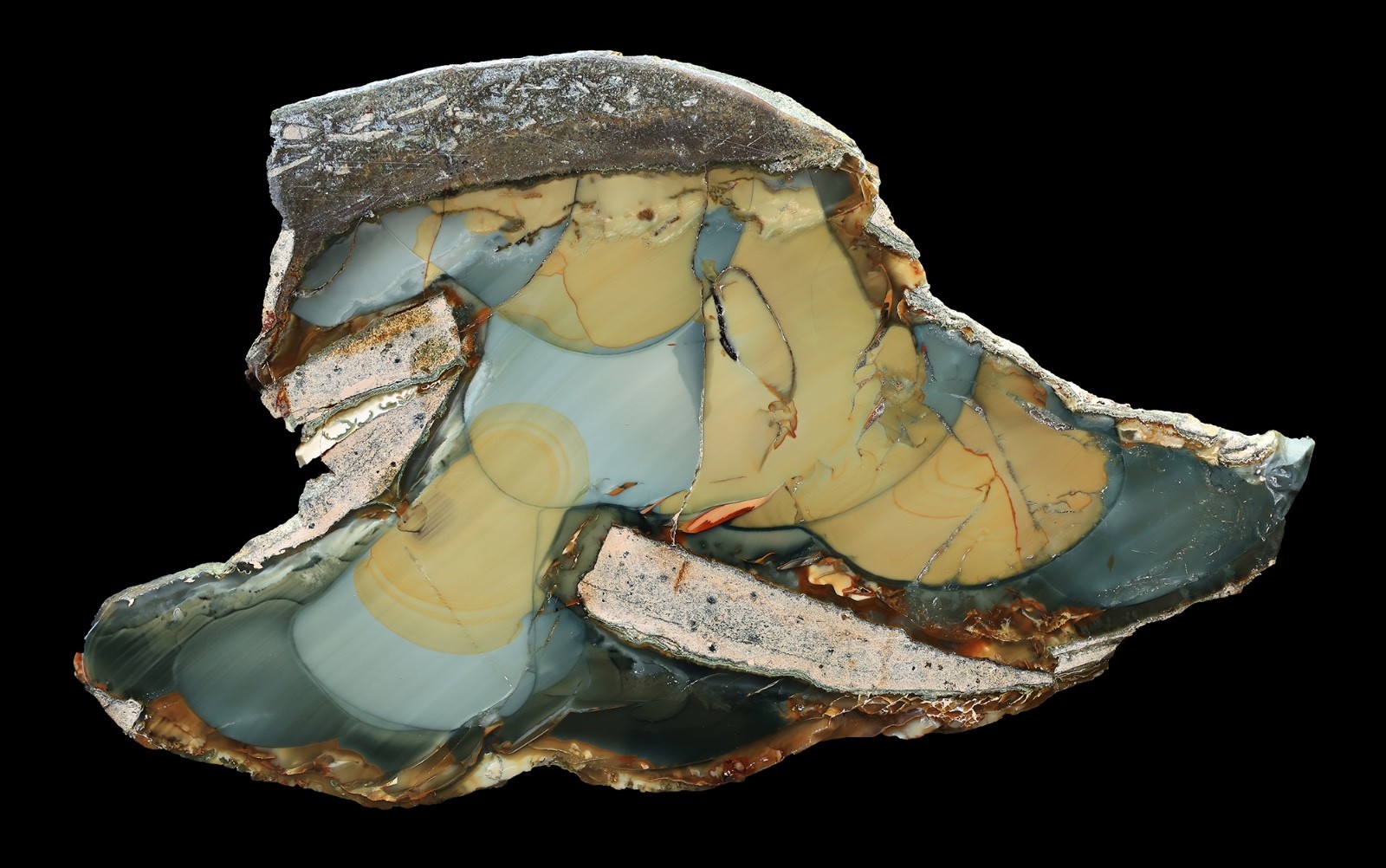 Beautiful Blue Mountain Jasper Specimen Old Stock Polished from KOP's collection Beautiful Blue Mountain Jasper Specimen Old Stock Polished from KOP's collection