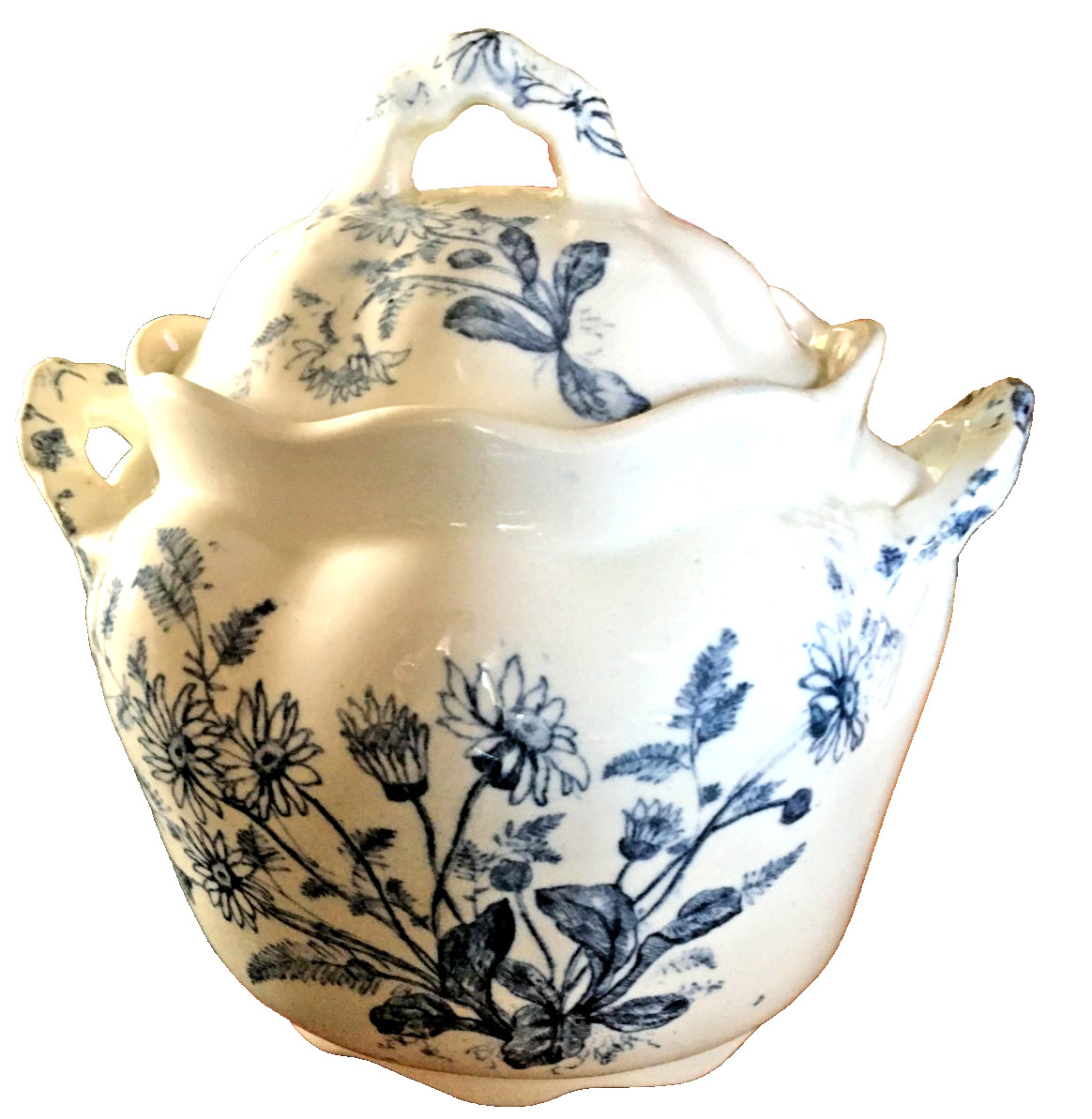 ANT. T. Furnivals & Sons 1895 "Spring" Blue & White Sugar Bowl Cobridge, Straff. ANT. T. Furnivals & Sons 1895 "Spring" Blue & White Sugar Bowl Cobridge, Straff.