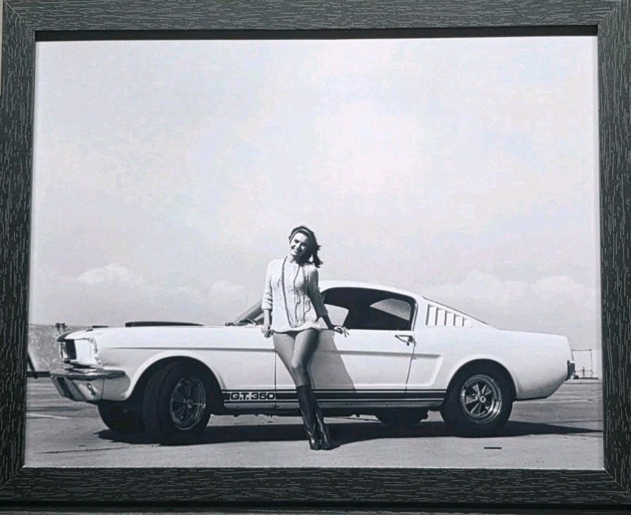 Framed Shelby GT-350 Trophy Girl - 11x8.5 reproduction print v2 Expanded Sky