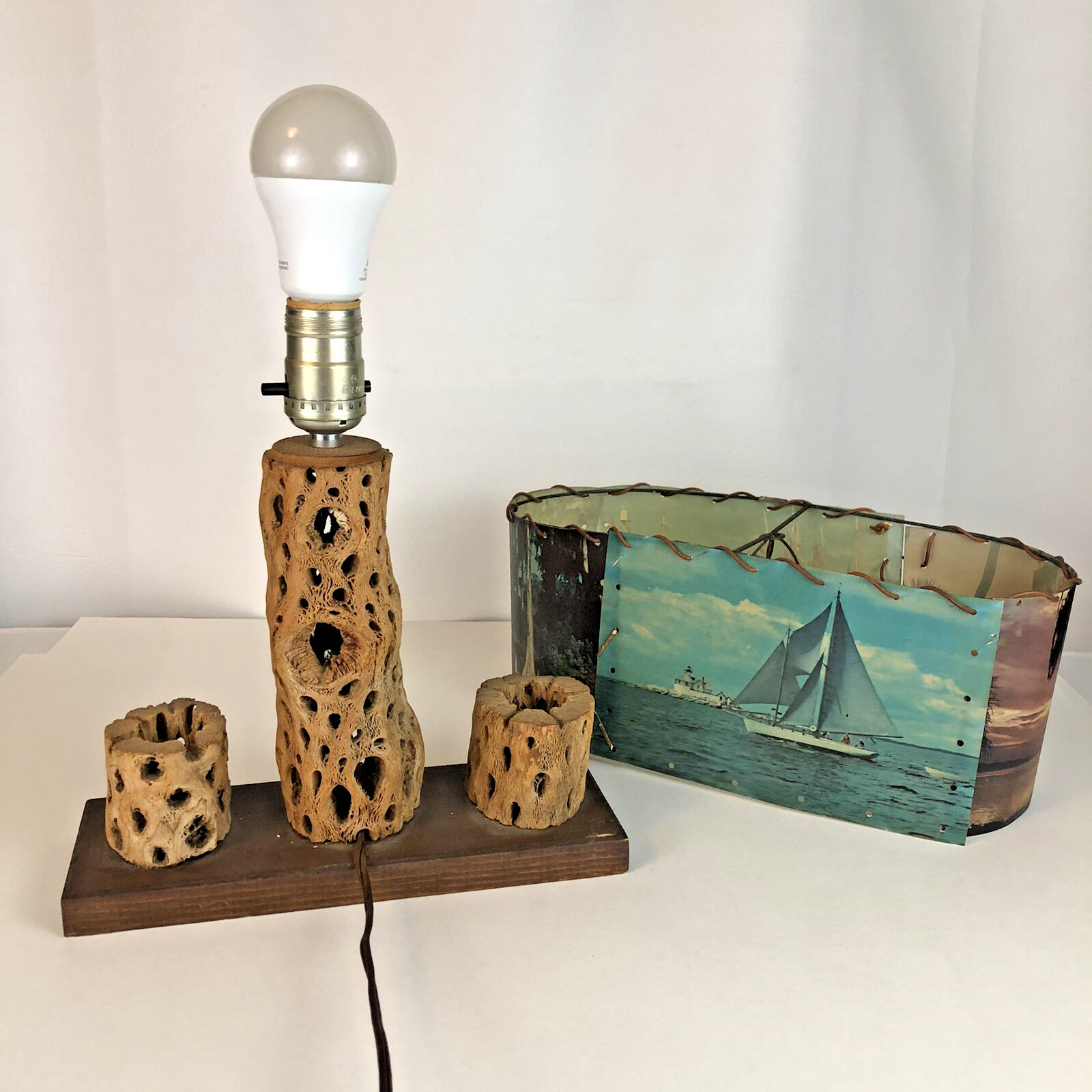 Vintage Cholla Cactus Lamp Photo Shade Handmade Southwest Mid Century Works Vintage Cholla Cactus Lamp Photo Shade Handmade Southwest Mid Century Works