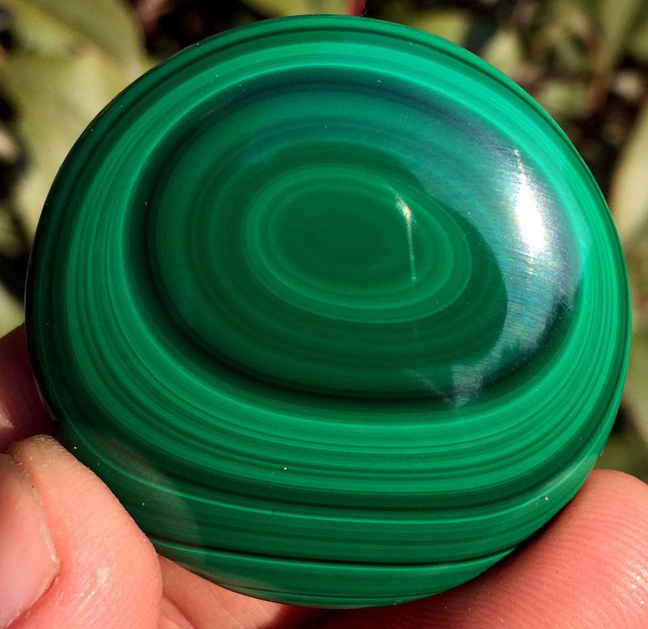 241CT TOP Boutique Fantastic RARE Green Malachite Round Card ic7436 241CT TOP Boutique Fantastic RARE Green Malachite Round Card ic7436