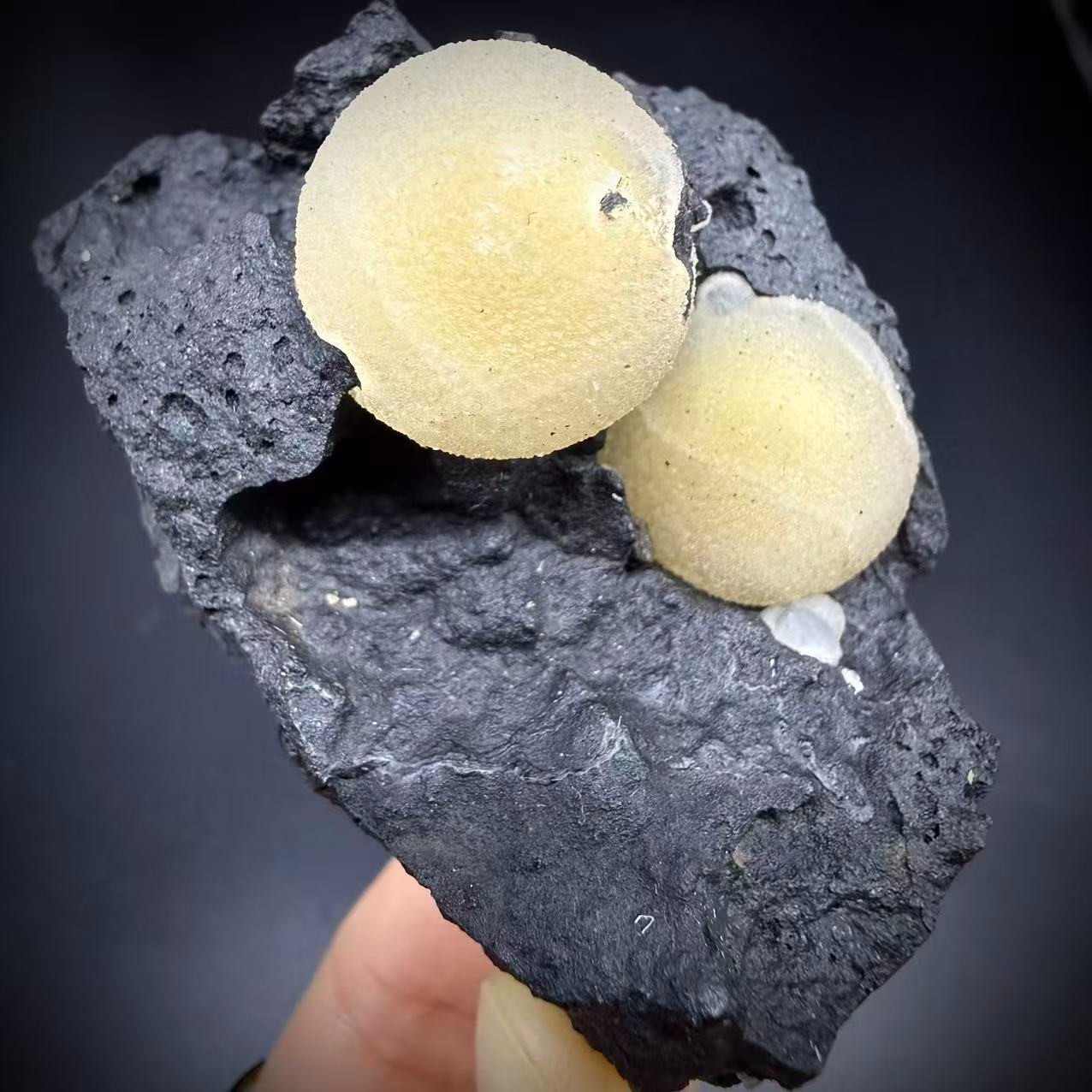 Natural Two very cute zeolite balls based on the rock mineral specimen/zhejiang