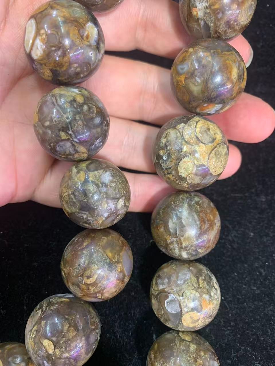Wonderful Large Tibetan Old Natural Fossil Conch Dzi 24mm Beads Long Bracelet Wonderful Large Tibetan Old Natural Fossil Conch Dzi 24mm Beads Long Bracelet