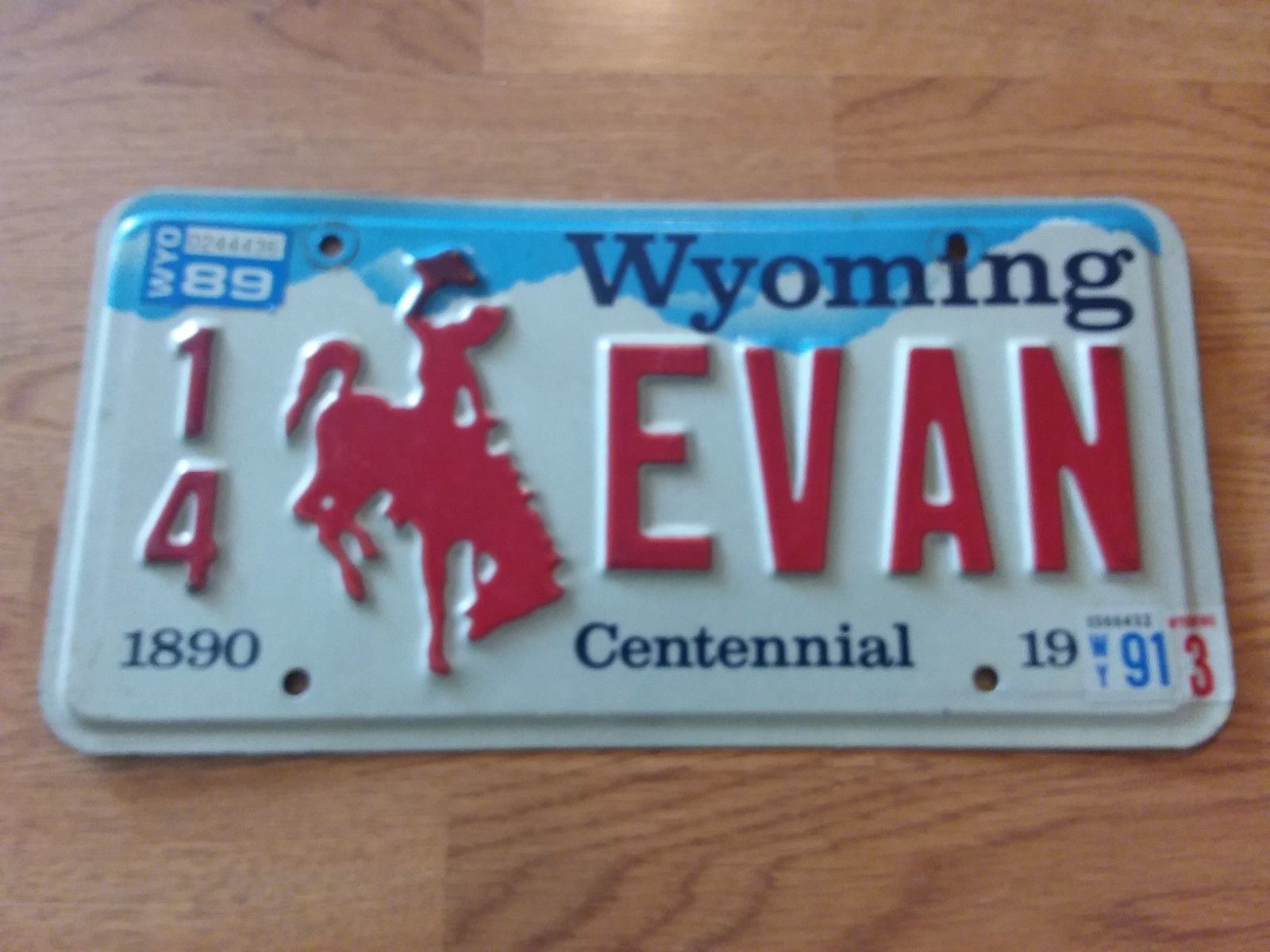 1890--1990 Wyoming Centennial Vanity License Plate--""EVAN"