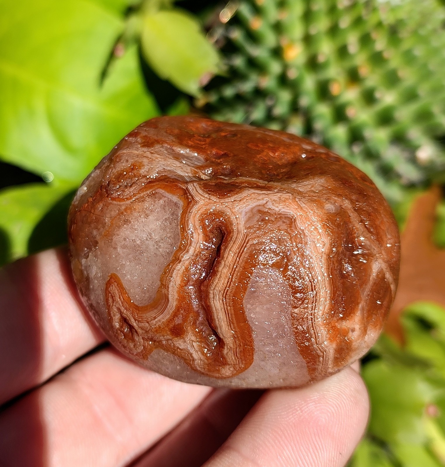 Lake Superior Agate, 6.2oz Crystal Quartz Floater Agate Lake Superior Agate, 6.2oz Crystal Quartz Floater Agate