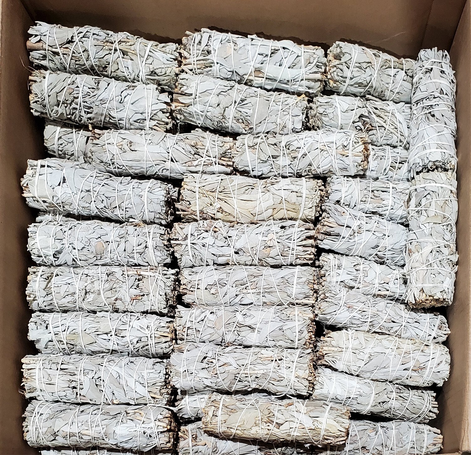 California White Sage Smudge Incense 4" Bundle (100 pcs)