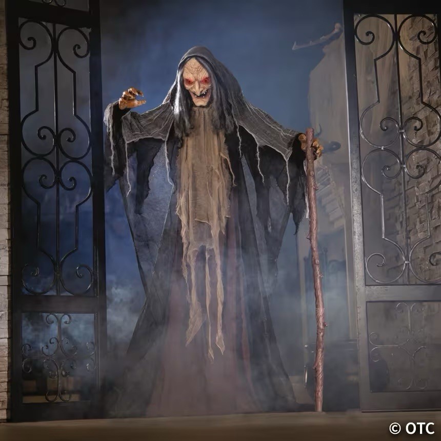 5FT Animated Halloween Witch Standing Decoration Motion Activated Outdoor Indoor 5FT Animated Halloween Witch Standing Decoration Motion Activated Outdoor Indoor